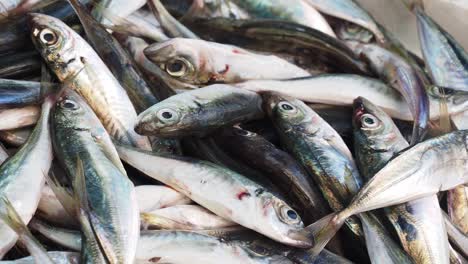 fresh fish on display at a market