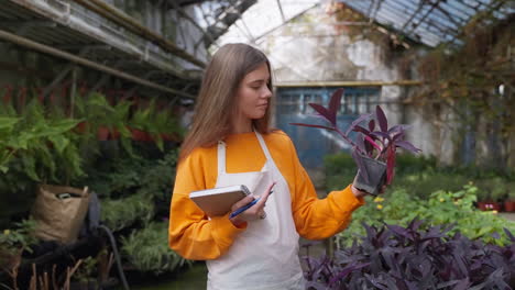 mujer inspeccionando plantas en un invernadero