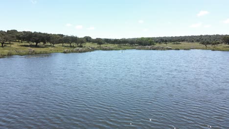 imágenes de drones de 4k de un río cerca de un campo verde