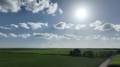 rice field in san francisco de macoris with bright sun in sky, dominican republic