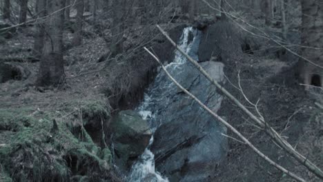 Wald-Offenbaren-Bach-In-Der-Wildnis-Nach-Unten-Schwenken