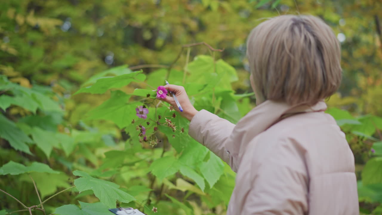 rear view of botanist holding pen while observing pink flower among lush green foliage during field research in forest setting, recording findings while focusing on plant morphology and structure