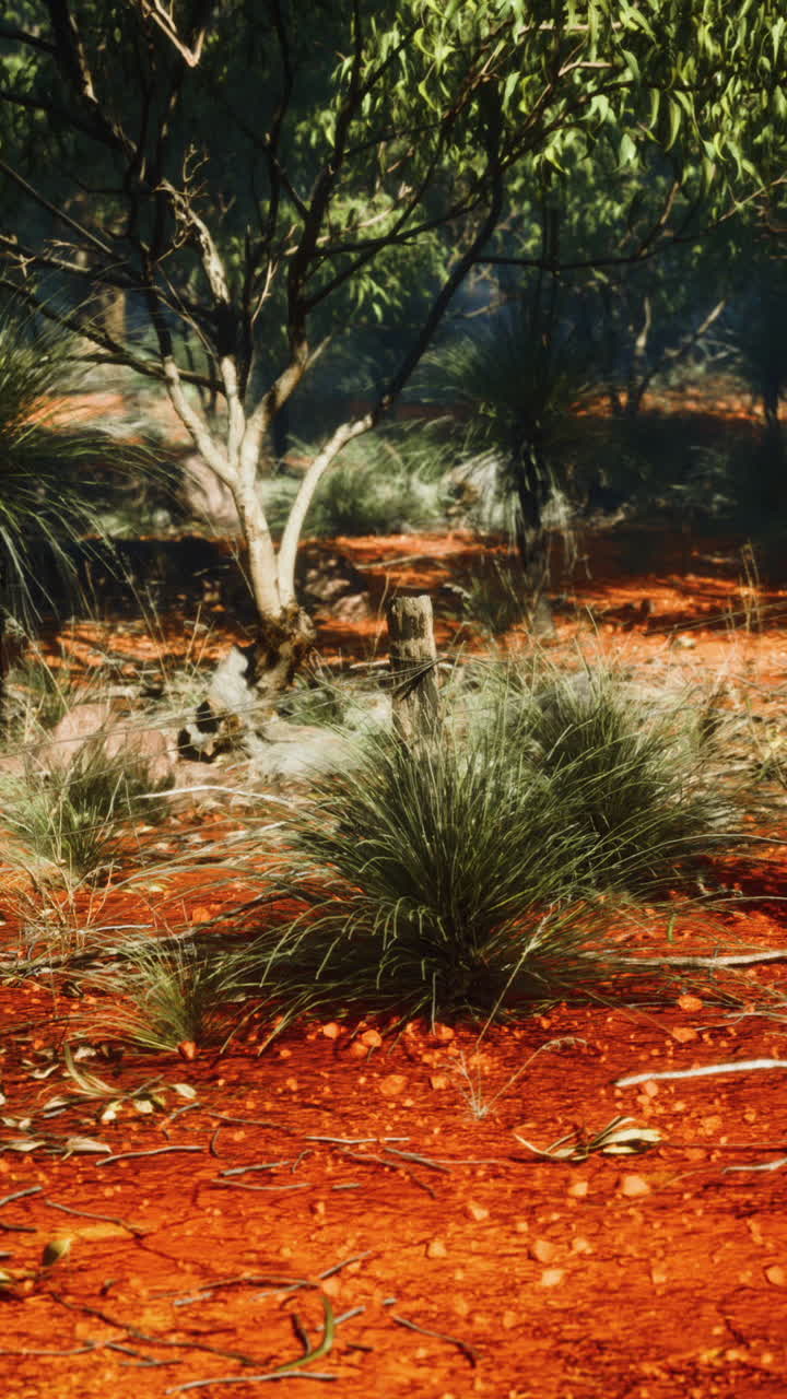 ⁇ 은 울타리 의 조각 과  ⁇ 은 가시 와이어