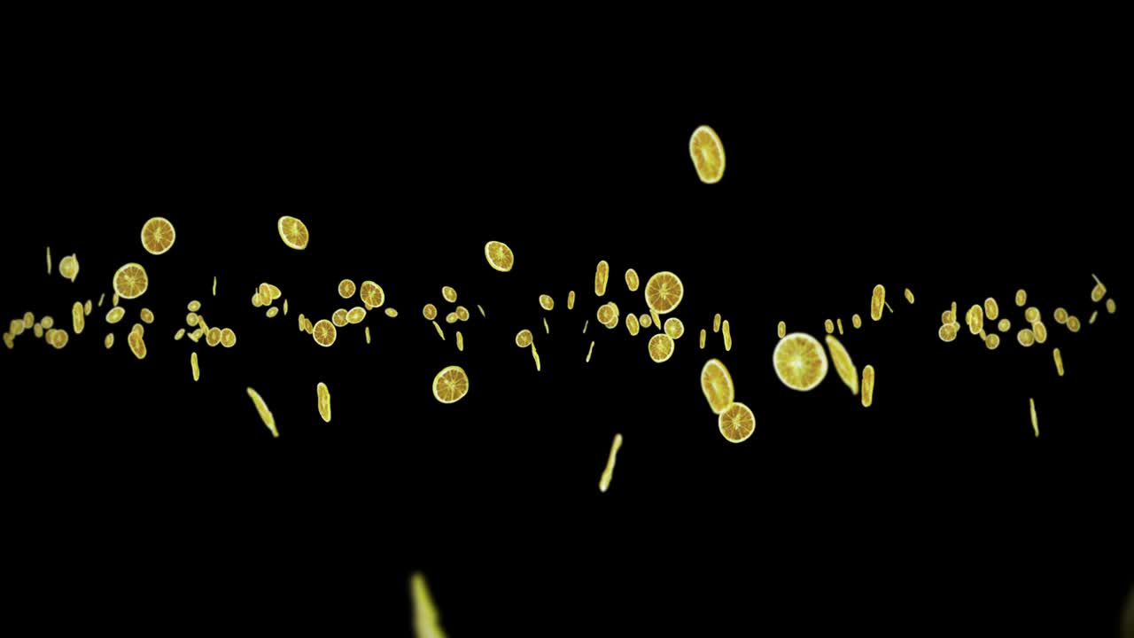 黒い背景に多くの乾燥したレモンを飛ばす - 脱水フルーツ,食事コンセプト - スライスされたフルーツの3dアニメーション - レモンを回転させる - ループアニメーションの