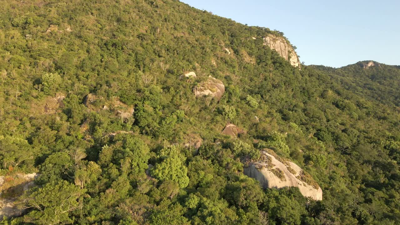 vista aérea ascendente de árboles verdes y arbustos en una montaña escarpada, soleada