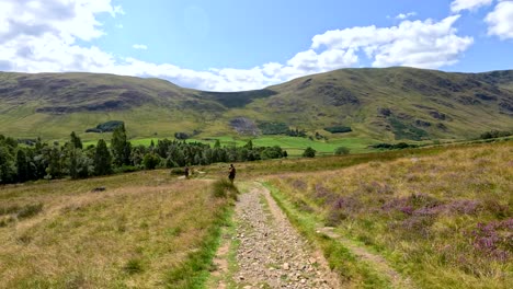 a lone individual walks down a stony path through grassy hills under bright daylight, surrounded by mountains and open countryside, captured in a wide, steady shot