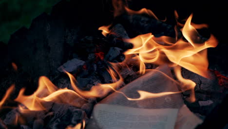 nice warm evening. close up view of fire in the woods during a camping