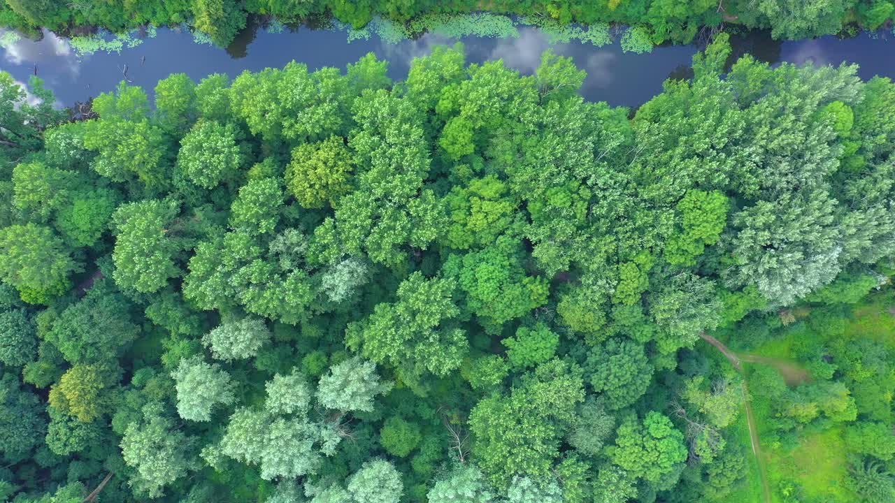 vista de arriba hacia abajo sobre el río sinuoso exótico fluye a través de humedales verdes