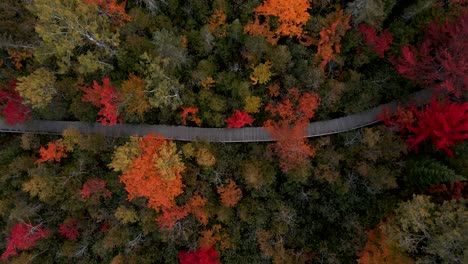 Camino-De-Madera-A-Través-Del-Parque-De-Otoño-En-Los-Municipios-Del-Este-De-Canadá---Ascenso-Aéreo