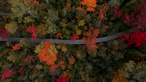 wooden pathway through the autumn park in the eastern townships in canada - aerial ascend