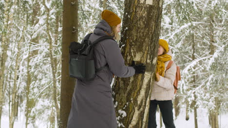 couple in winter clothes playing and hiding behind a tree trunk in winter forest