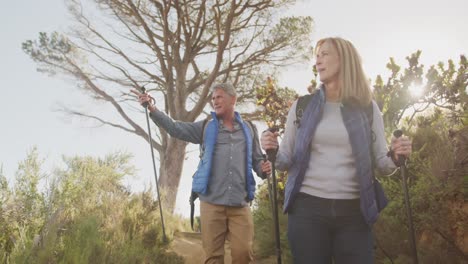 pareja de ancianos activos haciendo senderismo en el bosque