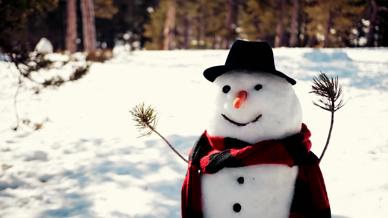 Smiling snowman in snow covered winter park