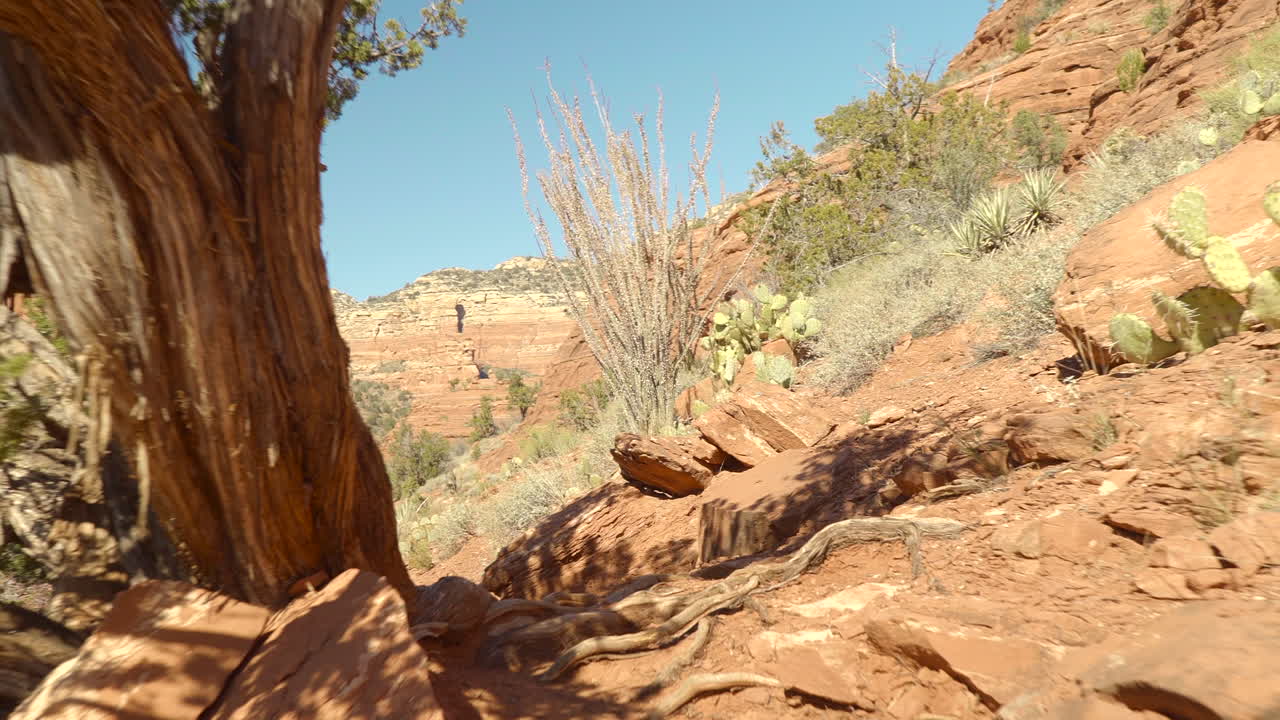 Ripresa cinematografica in soggettiva mentre si cammina su un incredibile sentiero di montagna a West Sedona in una giornata di sole.