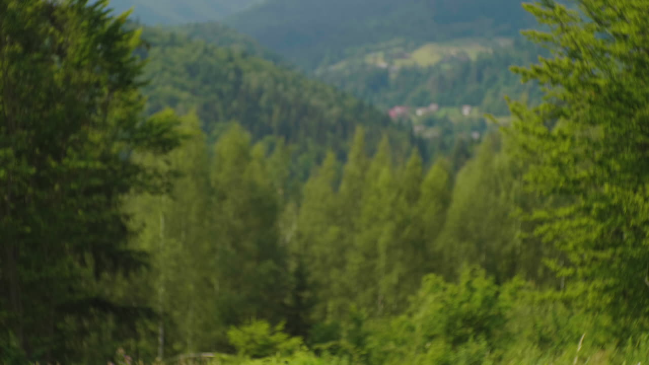 пара туристов с рюкзаками входят в кадр, наслаждаясь прекрасным горным пейзажем ясного лета