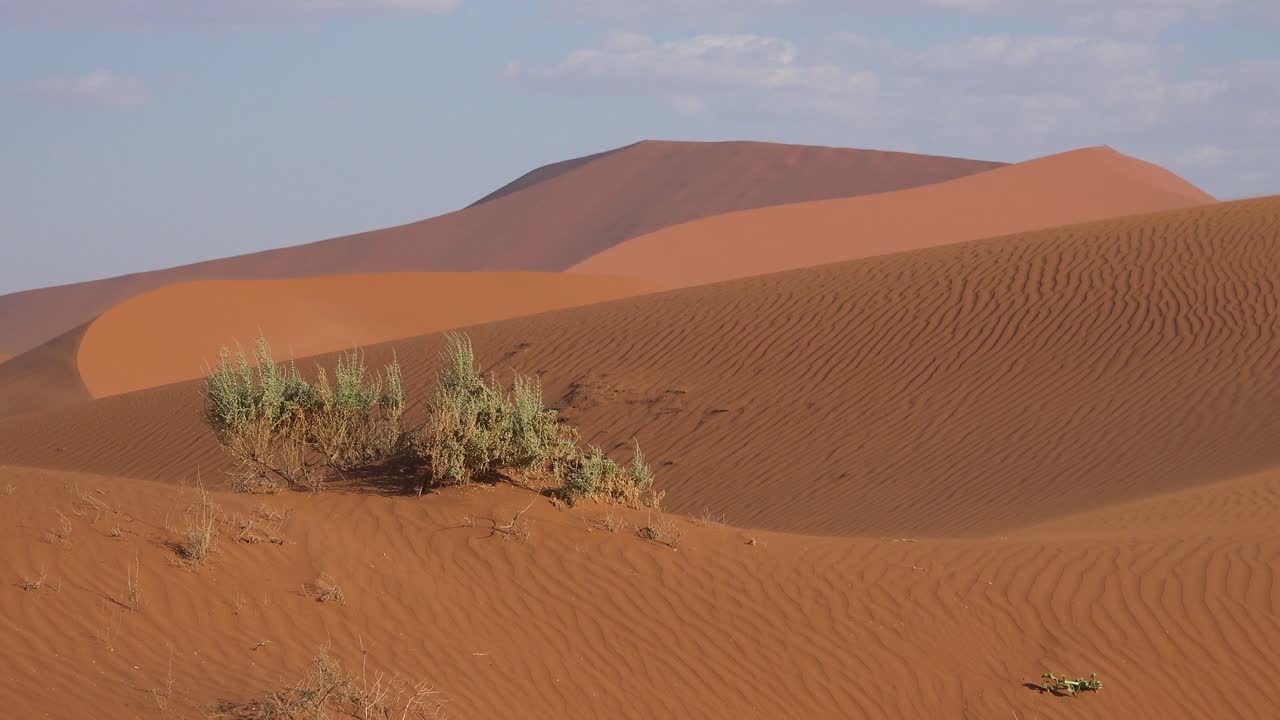 establecimiento de una toma del parque nacional namib naukluft en el desierto de namib y enormes dunas de arena namibia
