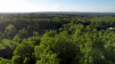 bosques y bosques a las afueras de pilot mountain nc, antena de carolina del norte
