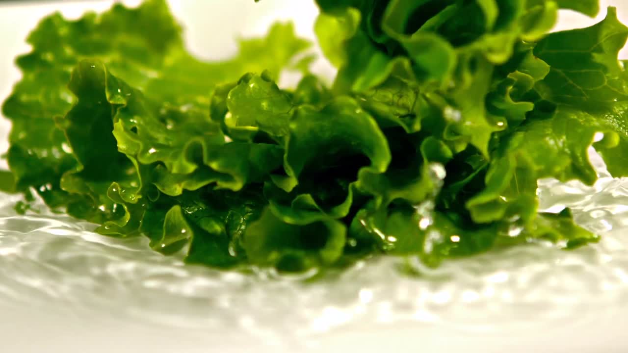 ⁇ 러드 의 일부 가 물 에 떨어지는 것