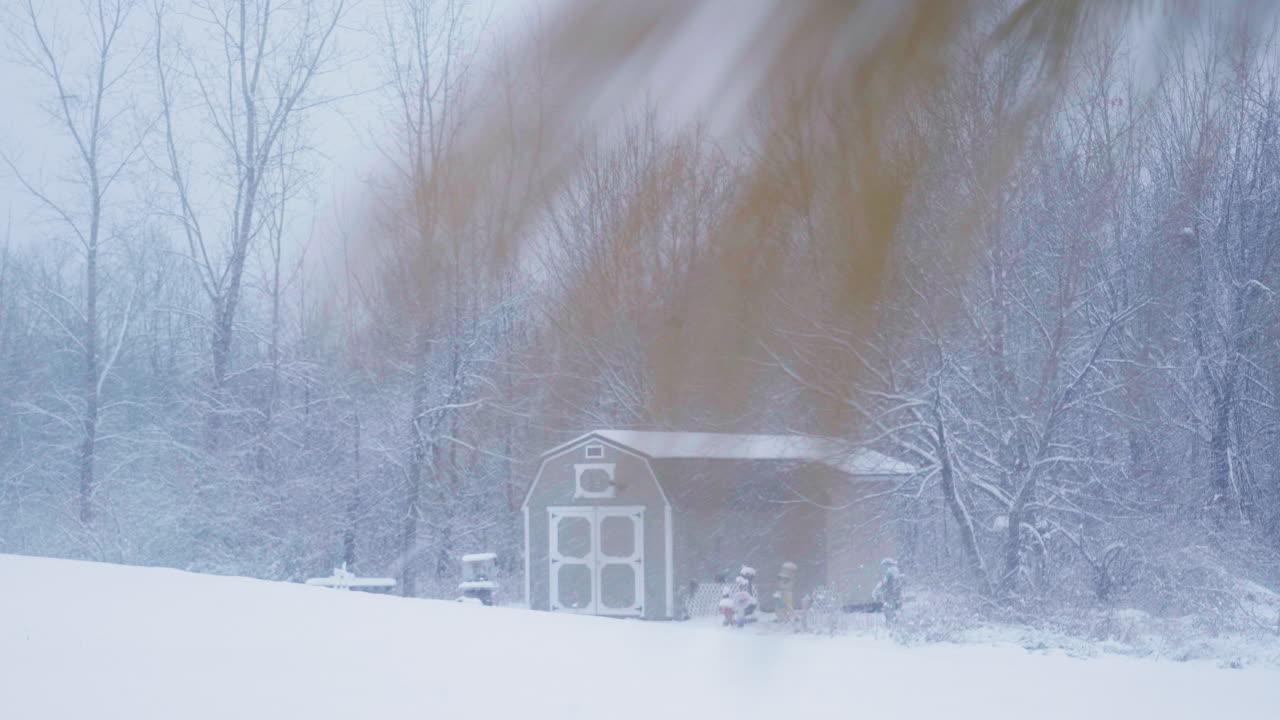 큰 눈이 내리는 동안 멀리서 나무가 있는 마당에서 노란색 오렌지색 소나무 바늘을 통해 보이는 작은 창고