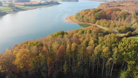 Forward-motion-drone-4k-aerial-over-autumn-trees-and-reservoir-lake