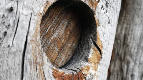 Agujero-De-Madera-Rústica-De-Madera-Envejecida-Vintage-Descuidado-Bloqueado-En-Dolly-Lento-A-La-Derecha