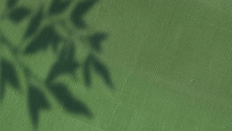 animación de sombras de hojas que se balancean sobre la textura cambiante del lienzo verde