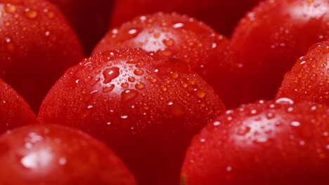 vibrant closeup of red tomatoes glistening with water droplets showcasing their freshness and vibrant closeup of red tomatoes glistening with water droplets showcasing their freshness and quality