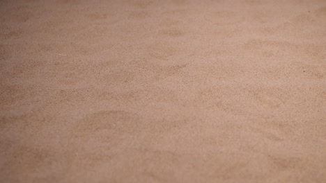 sand whirlwinds: abstract patterns in the desert