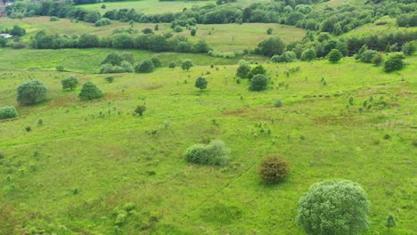 Drohnenaufnahmen-über-Leuchtend-Grünes-Ackerland-Und-Felder