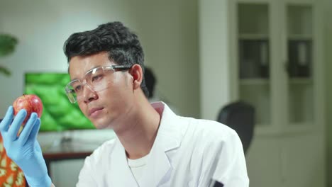 botanist man looking at apple,  working in agriculture laboratory