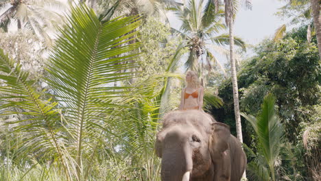 happy woman riding elephant in jungle exploring exotic tropical forest having fun adventure with animal companion 4k