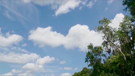 Timelapse-Del-Cielo-Azul-De-Florida-Y-Nubes-Pasando-Con-Vegetación-Tropical