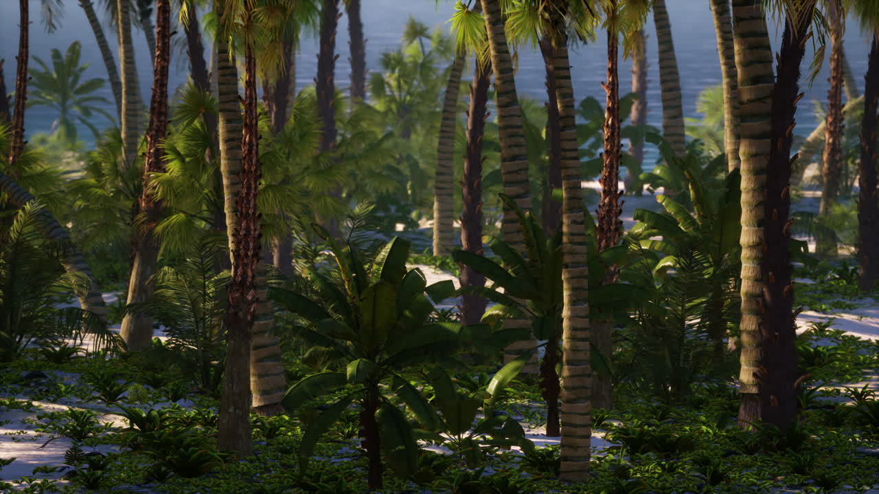 Tropical Beach with white sand turquoise water and palm trees
