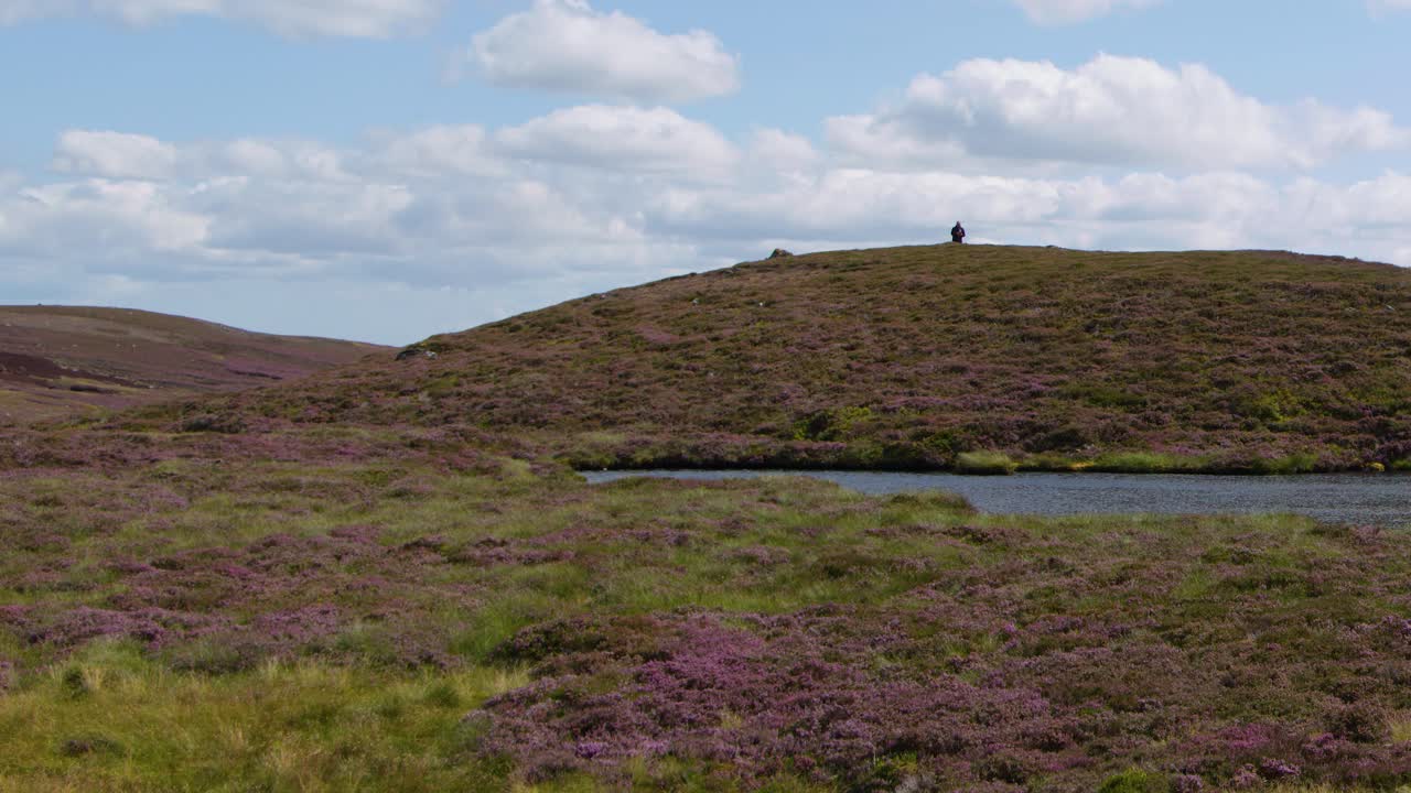 Single person walks atop heather hill, wide shot, daylight, gentle camera pan, scenic landscape