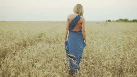 Back-view-of-unrecognizable-woman-with-blonde-hair-in-long-blue-dress-walking-through-golden-wheat-field.-Freedom-concept