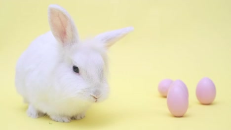 white cute easter bunny on a yellow background. bunny sits with pink easter eggs