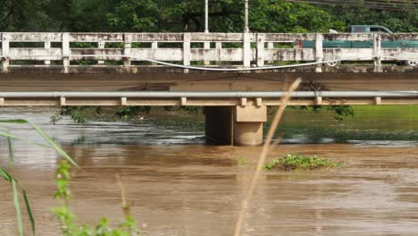 flowing muddy river under a bridge with assorted traffic and tuktuk