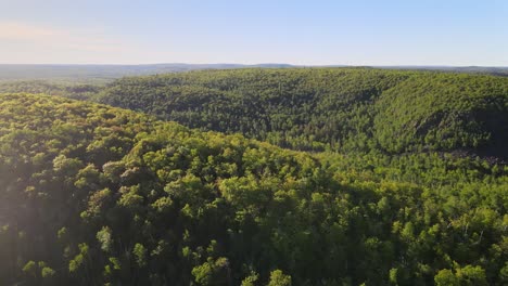 aeria view of golden hour over a national forest on summer time