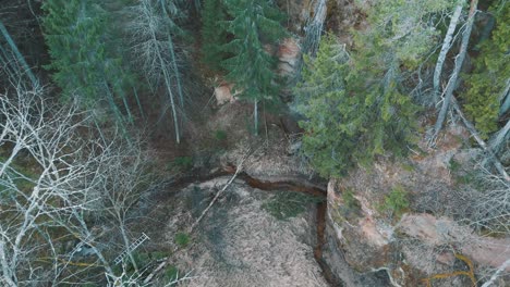 Naturlehrpfad-Cecilu-In-Ieriki,-Lettland