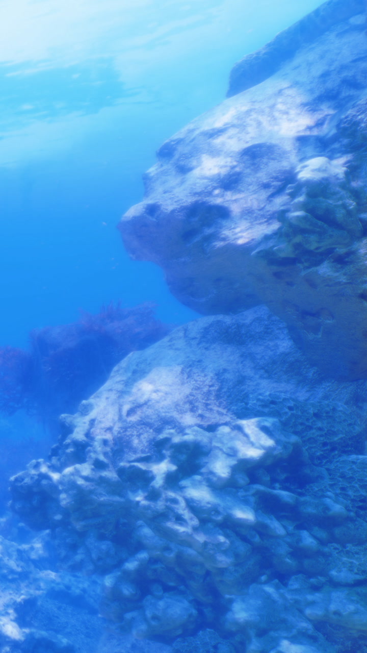 Underwater rocks and blue water in a calm ocean scene