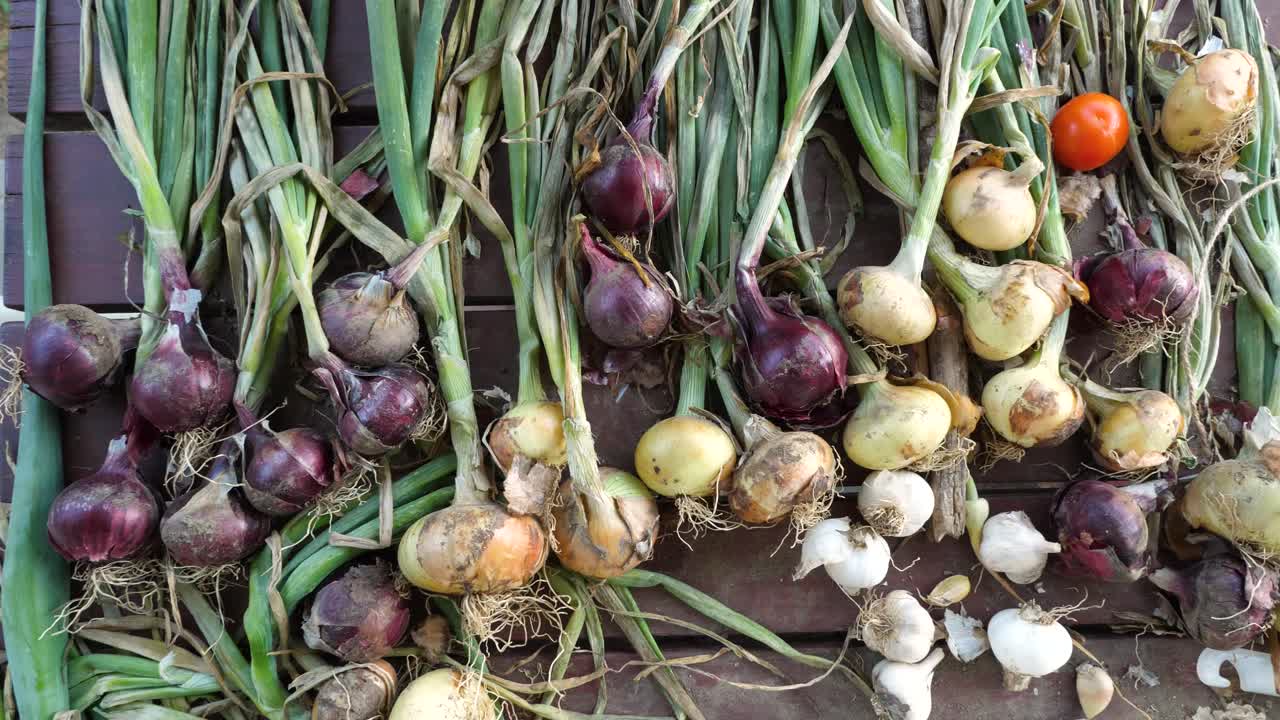 Overhead view of drying tomatoes and produce on outdoor table