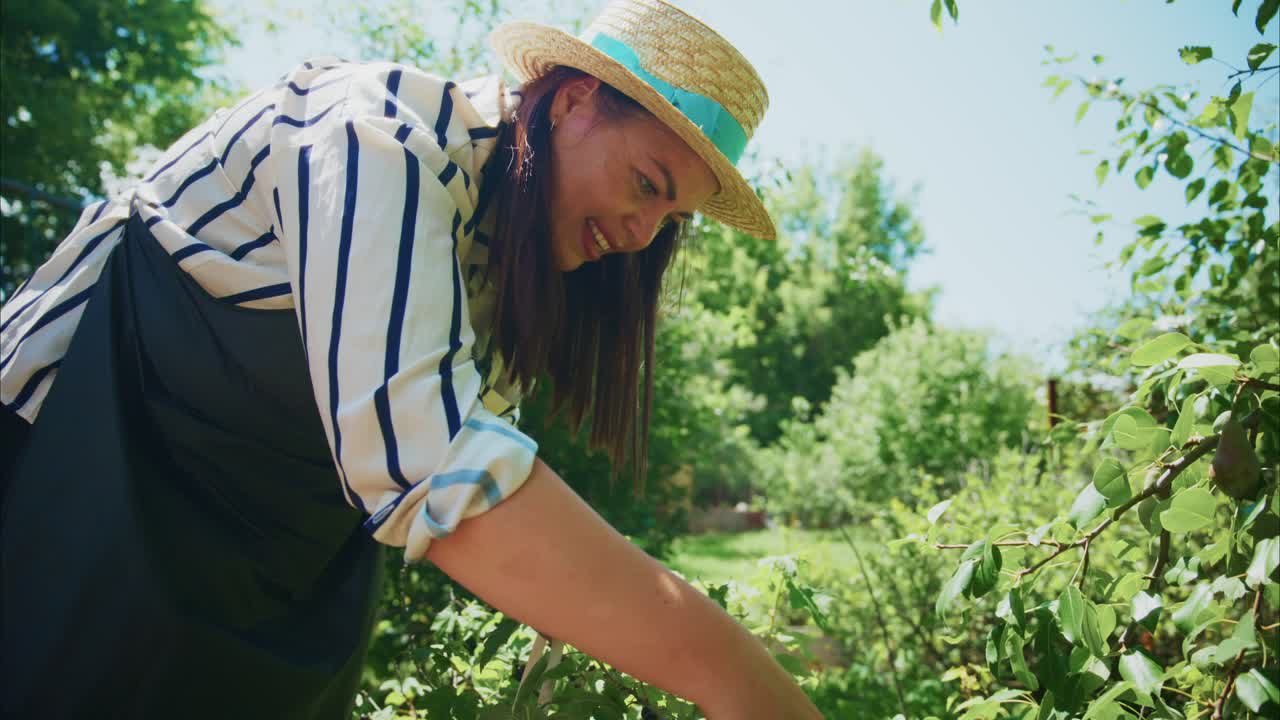 Woman Gardening in a Sunny Garden