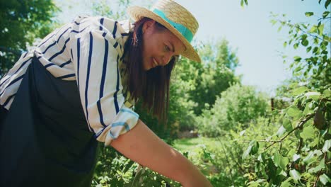 woman gardening in a sunny garden
