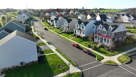 Rows-of-detached-houses-in-idyllic-american-countryside