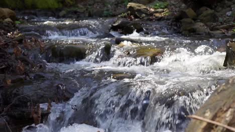 slow motion tight footage of forest river and waterfall in spring