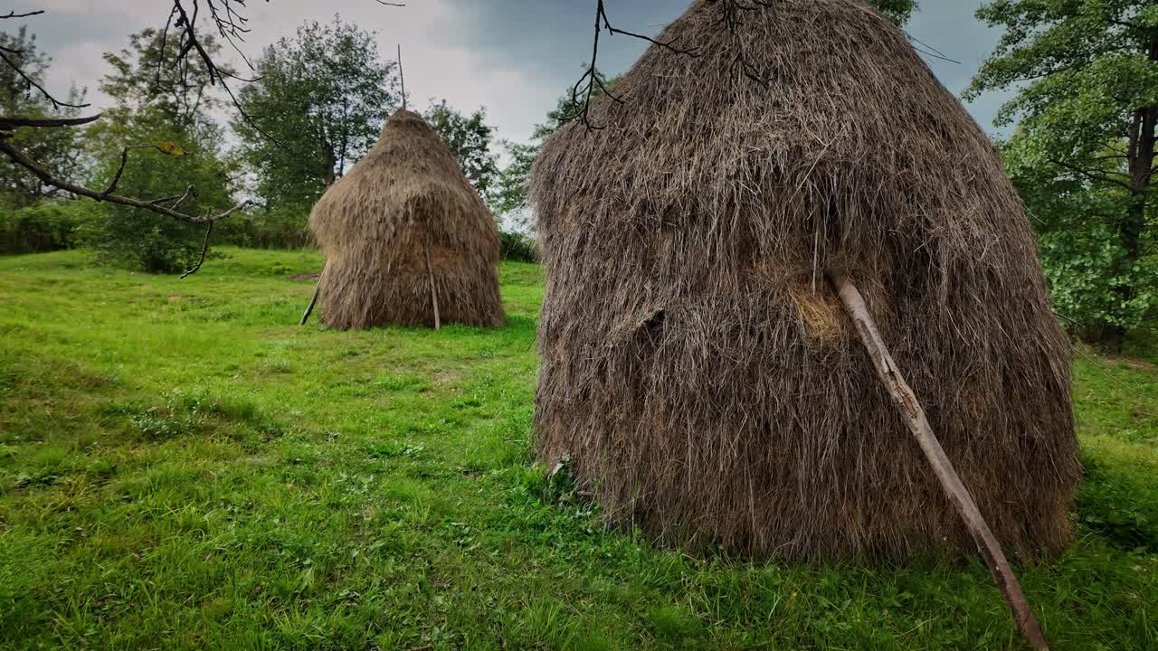 Cone shaped straw rustic haystacks in rural pasture landscape Romania