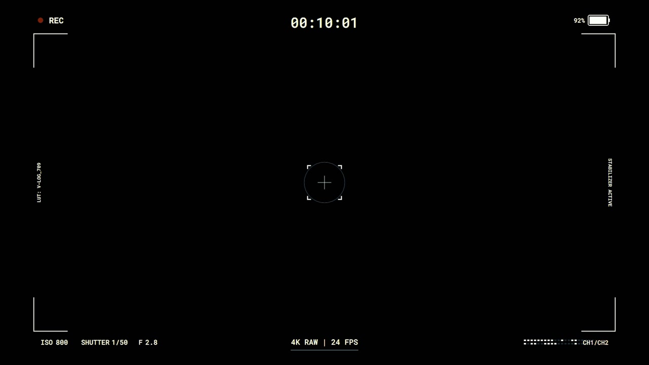 Digital Camera Viewfinder Overlay with Recording Interface