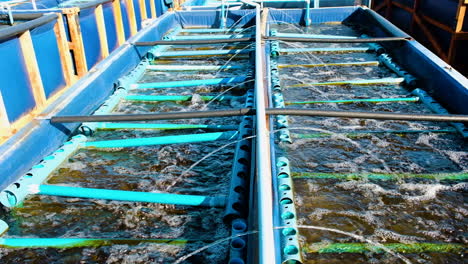 aerated abalone tanks on commercial aquaculture farm, hermanus, south africa