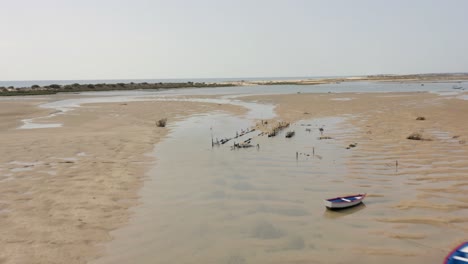 Drone-flies-over-beached-row-boats-sitting-on-sandy-ocean-floor-during-low-tide,-birds-fly-in-front-of-lens,-Portugal,-Aerial