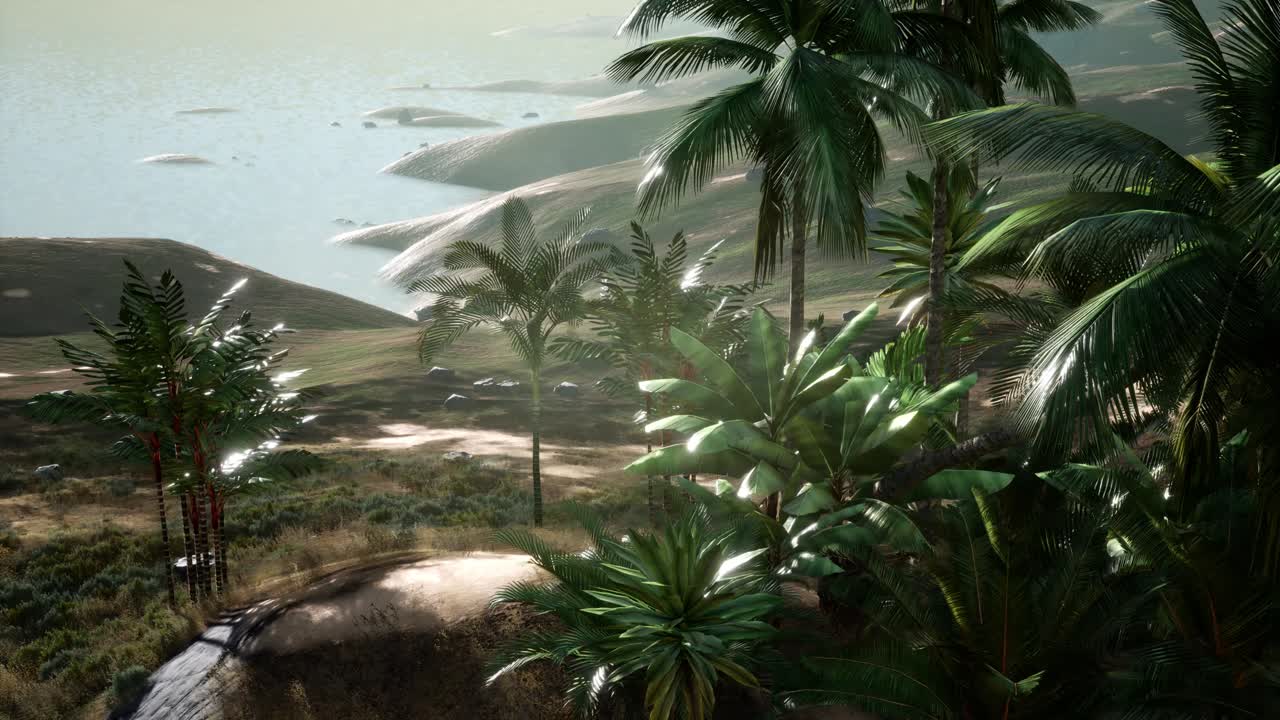 vista aérea de palmeras en dunas de arena cerca del mar